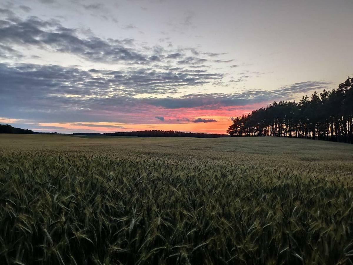 Stawy U Sikory - Dom Rybak - Agroturystyka I Lowisko Nowa Wies  Eksteriør bilde